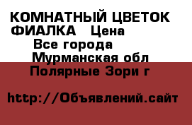 КОМНАТНЫЙ ЦВЕТОК -ФИАЛКА › Цена ­ 1 500 - Все города  »    . Мурманская обл.,Полярные Зори г.